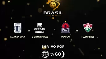 ¡Vive la semifinal y final del Brasil Vóley Cup! EN VIVO por América TV y tvGO