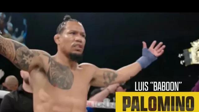 Luis Palomino se subirá al ring este 27 de marzo y América Televisión lo llevará a todos sus hogares. | Video: AD