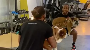 Lewis Hamilton se robó el corazón de todos al entrenar con su simpático Bulldog