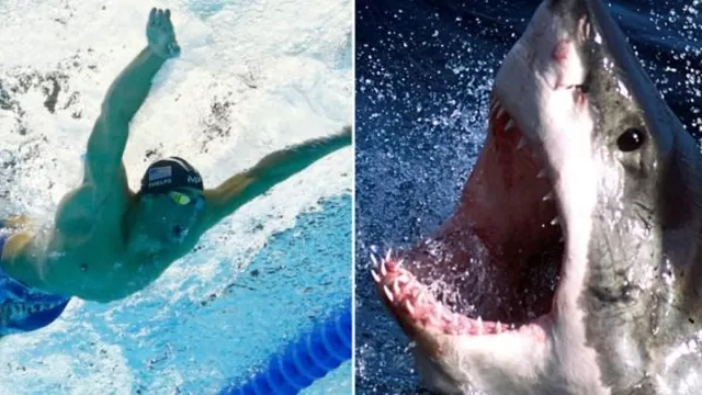 Michael Phelps va por otro récord: ganarle a un tiburón blanco