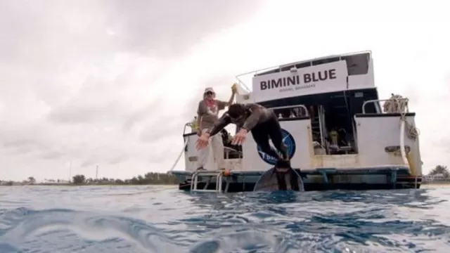 Michael Phelps vivió el gran desafío de nadar contra un tiburón blanco-foto-2