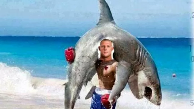 Mick Fanning: aparecen memes del ataque de tiburón en Sudáfrica