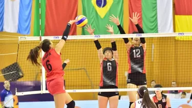 Perú no pudo con Japón | Foto: FIVB.