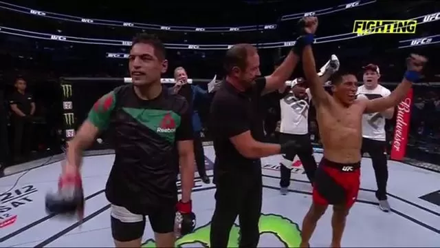 Video: UFC 