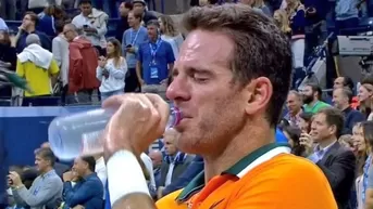 US Open: Juan Martín del Potro lloró desconsoladamente tras perder la final