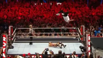 Royal Rumble 2019: Shane McMahon le arrebató el título a 'The Bar' con este brutal salto