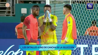 Revive el partido entre Perú vs Argentina a ras de cancha / Captura / Fútbol en América