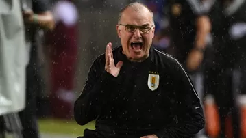 Por problemas con Bielsa: Renuncia en CT de la selección uruguaya