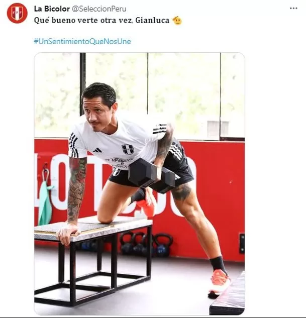 Esto publicó la Bicolor. | Fuente: @SeleccionPeru