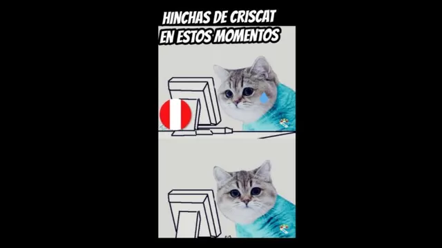 Los memes de la selecci&amp;oacute;n peruana.-foto-13