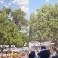 Argentina: Hincha se cayó desde lo más alto de un árbol en festejos del Mundial