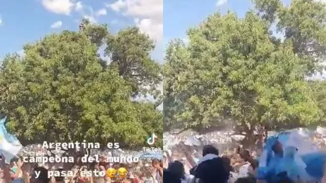 Argentina: Hincha se cayó desde lo más alto de un árbol en festejos del Mundial