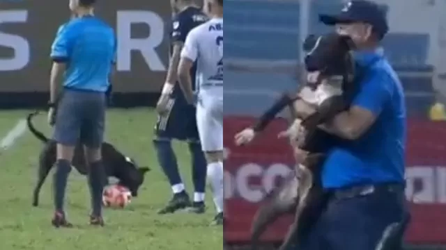 Concachampions: Un perro se robó el show en el Alianza FC vs. Philadelphia Union