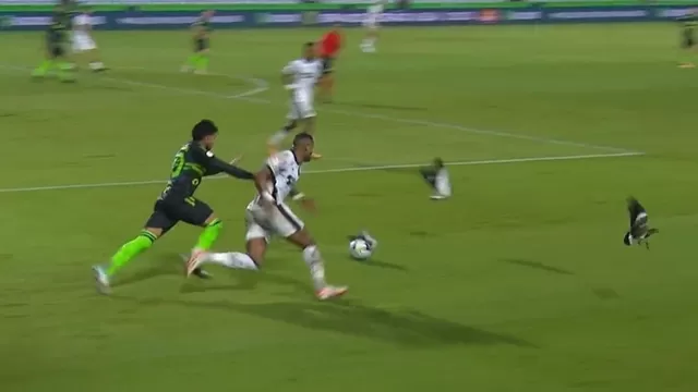 Coritiba vs. Botafogo: El balón chocó con un ave y esto pasó