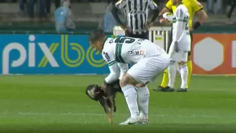 Brasil: Perro casi muerde a Alef Manga, jugador de Coritiba