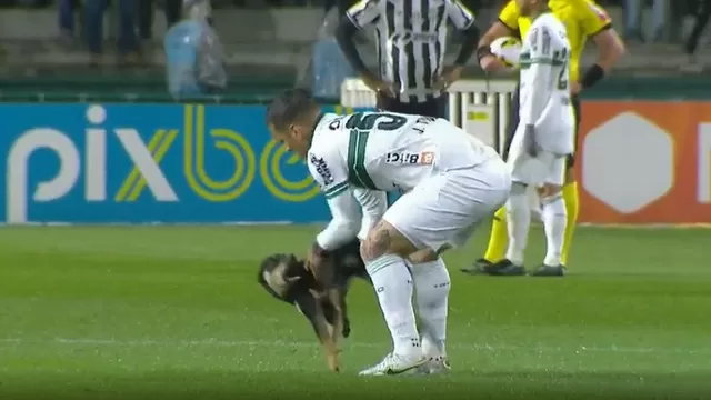 El perro se metió al campo del Estadio Couto Pereira. | Video: Premiere