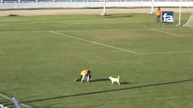 Copa Perú: Un perro invadió la cancha y se robó el show en Andahuaylas
