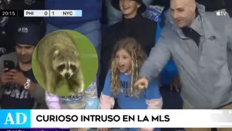 Un mapache invadió el campo donde se disputaba un partido por la MLS / Video: América Deportes