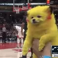 ¡Indignante! Un hombre pintó a su perro como &#39;Pikachu&#39; y lo mostró en partido de la NBA