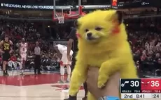 ¡Indignante! Un hombre pintó a su perro como 'Pikachu' y lo mostró en partido de la NBA - Noticias de video-viral