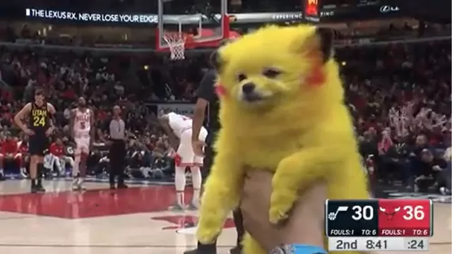 ¡Indignante! Un hombre pintó a su perro como &#39;Pikachu&#39; y lo mostró en partido de la NBA