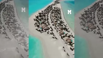 La nueva adquisición de Cristiano y Georgina en el Mar Rojo