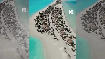 La nueva adquisición de Cristiano y Georgina en el Mar Rojo