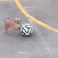 ¡El perrito con el talento de Lionel Messi!